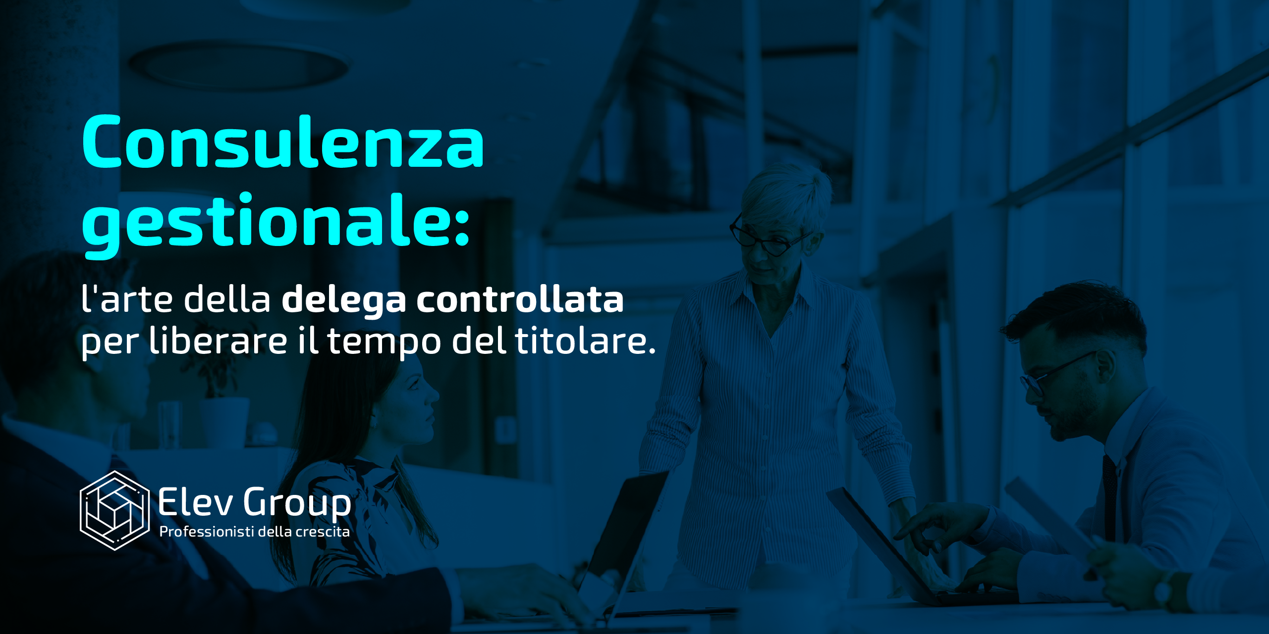 consulenza gestionale